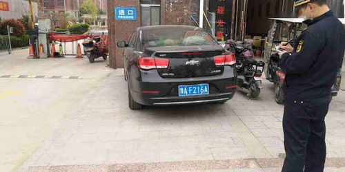 洛阳汽车交罚款多少