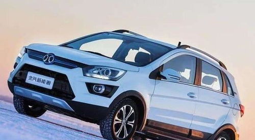 netaaya汽车多少钱 netaaya汽车多少钱