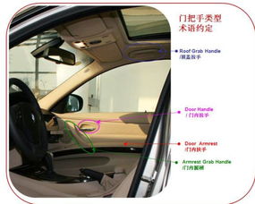 汽车中网英文是多少