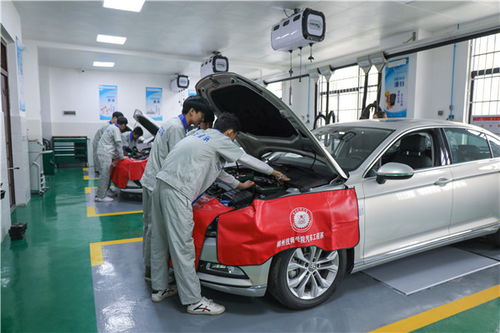 郴州汽车学校费用多少