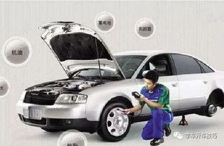 汽车保养套路有多少