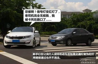 汽车囧事遇到多少