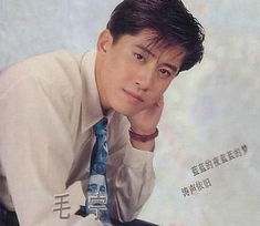 毛宁汽车多少钱 毛宁汽车多少钱