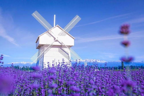 中奖六万汽车交税多少