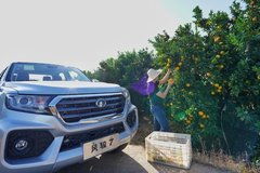 会昌到瑞金汽车多少