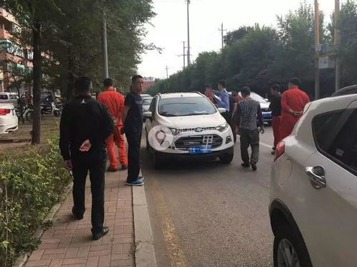 抚顺有多少辆汽车