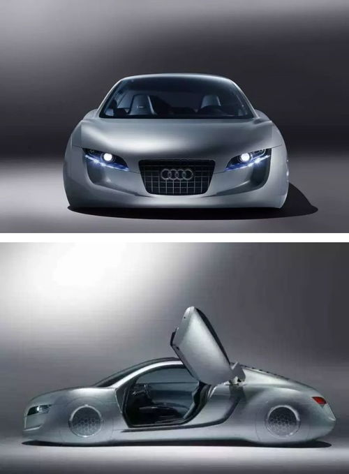 汽车真漆膜价格多少