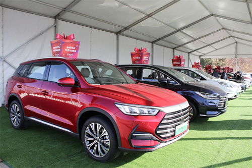 购车补贴汽车多少天