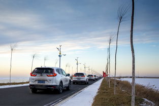 松原有多少台汽车 松原有多少台汽车