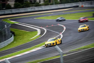 汽车过弯的速度多少