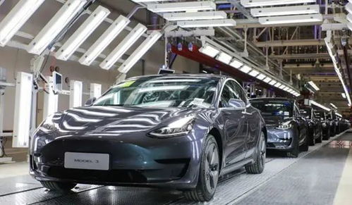 国产特斯拉汽车多少辆车