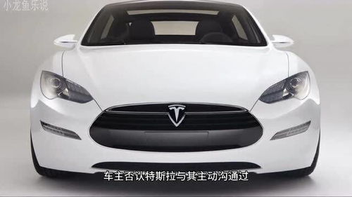特斯拉小汽车多少万
