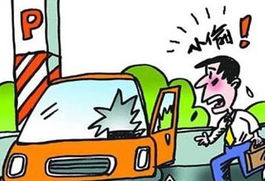 汽车盗抢险比例多少