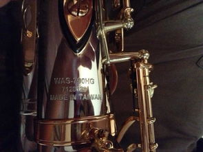 汽车萨克斯多少钱 汽车萨克斯多少钱