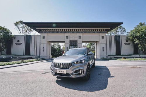 成功汽车直径是多少