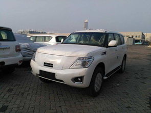 进口汽车有多少件