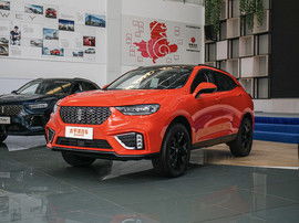 we 汽车价格多少