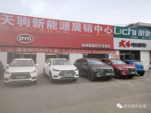 东胜-府谷汽车费多少