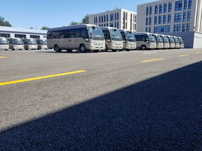 雷州汽车多少钱