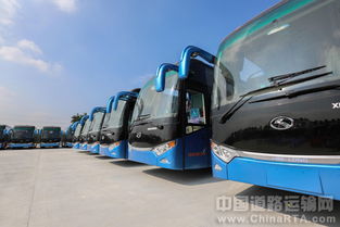 珠江出口汽车多少辆车