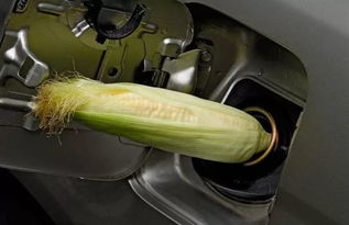 汽车汽油用到多少再加 汽车汽油用到多少再加