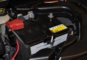 汽车电瓶多少付的