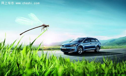 无为汽车多少钱