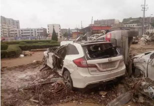 水灾 汽车被淹多少辆