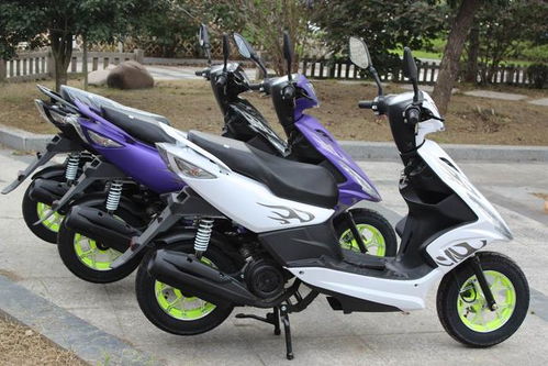 鬼火汽车有多少种