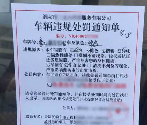 汽车罚款多少天知道