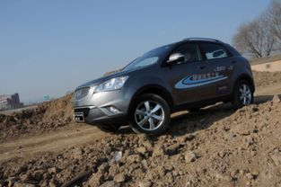 斿行者汽车多少价位