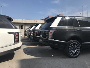 汽车1986是多少排量