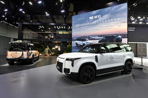 极石汽车卖了多少