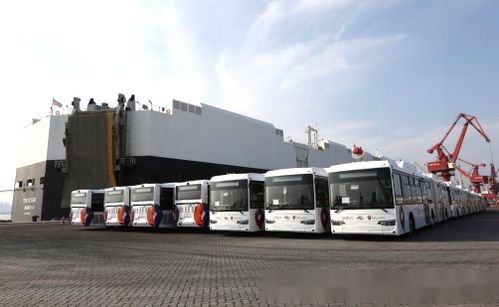 凭祥出口汽车多少辆车