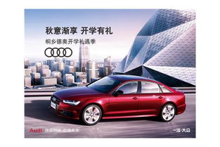 桐乡市汽车有多少