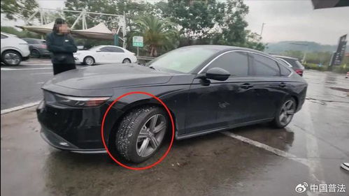 汽车扎带有多少规格