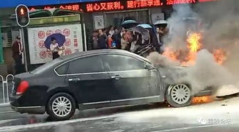 永州汽车有多少辆