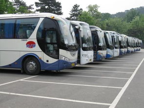 大余汽车电话多少