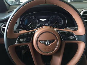 汽车蒙皮多少钱