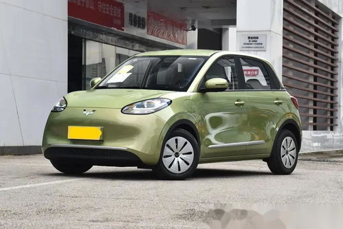 海鸥汽车最新价格多少 海鸥汽车最新价格多少