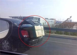 汽车拉行李罚款多少