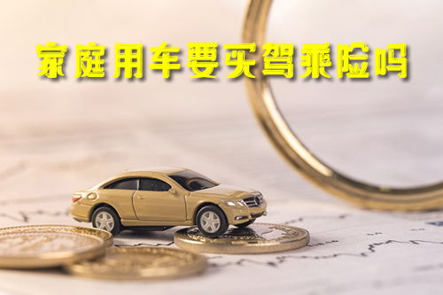 汽车驾乘险多少