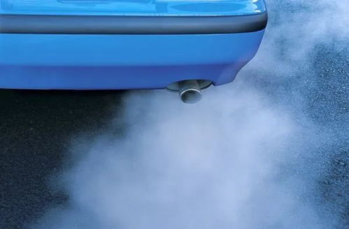 汽车每日排放多少废气 汽车每日排放多少废气