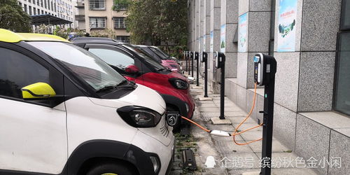 柳州小汽车学费多少