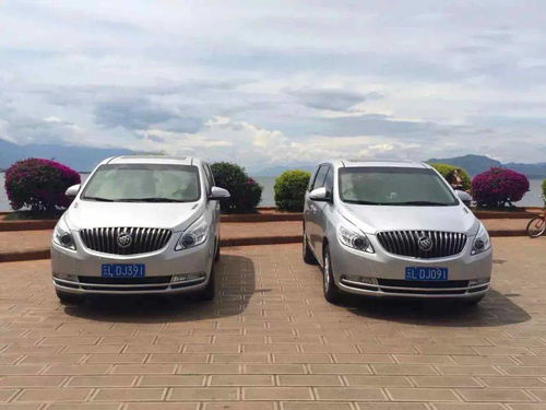 大理汽车燃气价格多少 大理汽车燃气价格多少