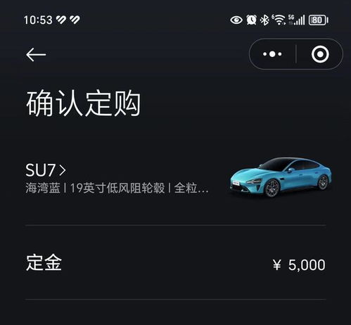 小米汽车定金收到多少