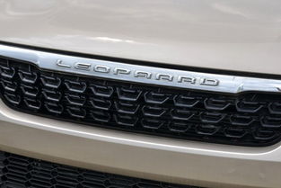 猎豹汽车收入多少亿