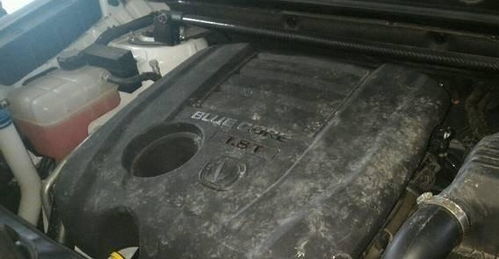 蒸汽车水耗多少