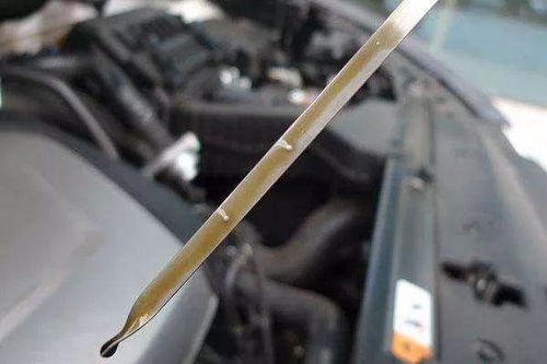 汽车油尺刻度多少正常