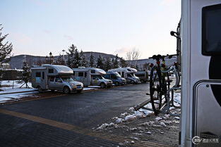 汽车雪地最高多少公里 汽车雪地最高多少公里